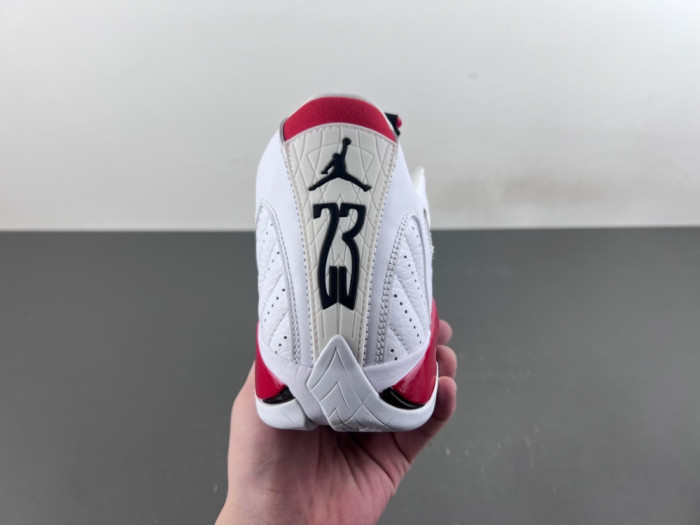 Air Jordan 14 Retro Rip Hamilton 487471-100