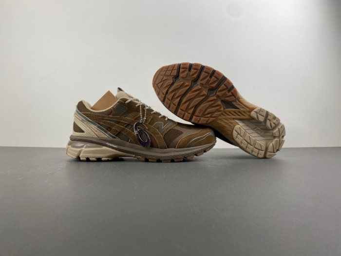 As1cs Gel-Terrain Gore-Tex nonnative 1203A584-200
