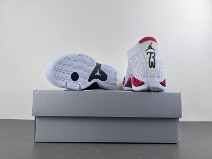 Air Jordan 14 Retro Rip Hamilton 487471-100