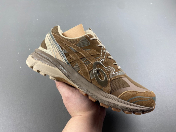 As1cs Gel-Terrain Gore-Tex nonnative 1203A584-200