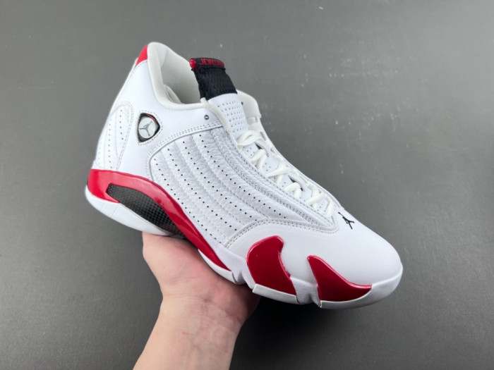 Air Jordan 14 Retro Rip Hamilton 487471-100