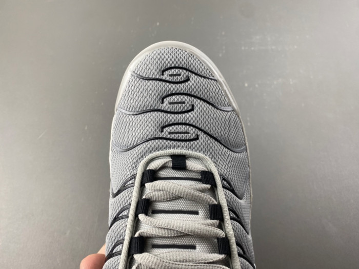 Nike Air Max Plus Wolf Grey 852630-021
