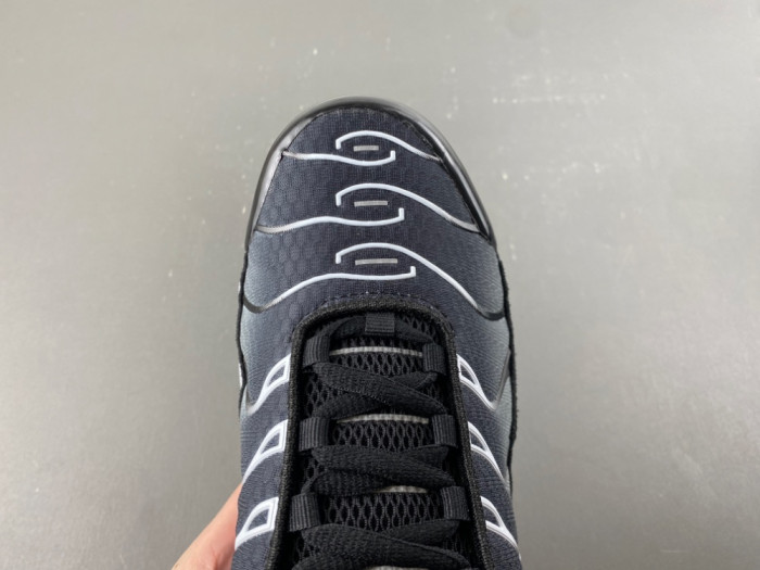 Nike Air Max Plus Black Silver White DM0032-003