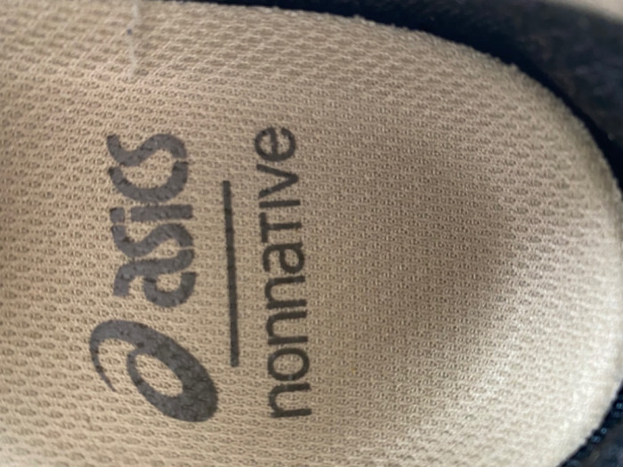 As1cs Gel-Terrain Gore-Tex nonnative 1203A584-200