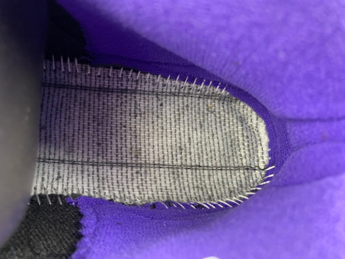 Air Jordan 10 OG Sacramento Kings 130209-051