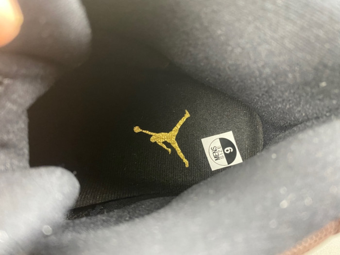 Air Jordan 11 brown and black CT8012-200