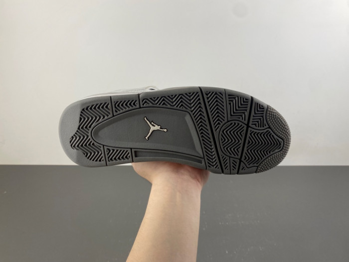 Air Jordan 4 FQ8138-092