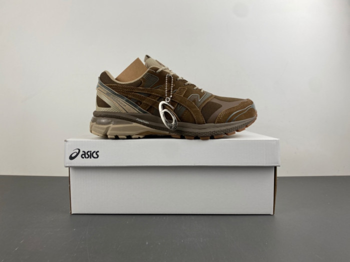 As1cs Gel-Terrain Gore-Tex nonnative 1203A584-200