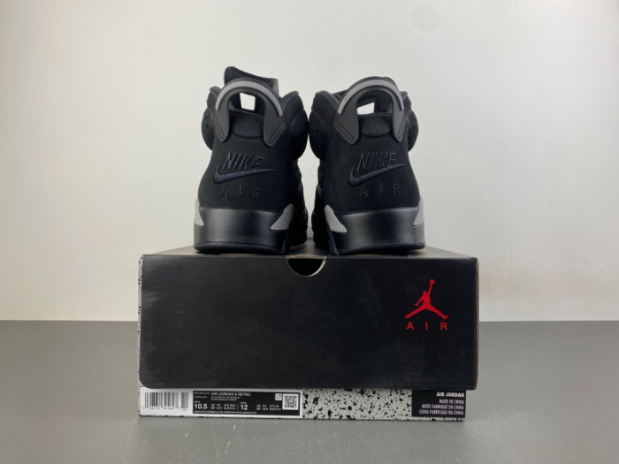 Air Jordan 6 Retro Cap and Gown IR2266-010
