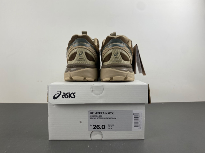 As1cs Gel-Terrain Gore-Tex nonnative 1203A584-200