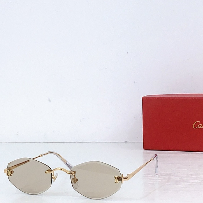 Ca*t1er Sunglasses