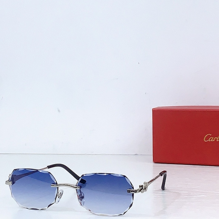 Ca*t1er Sunglasses