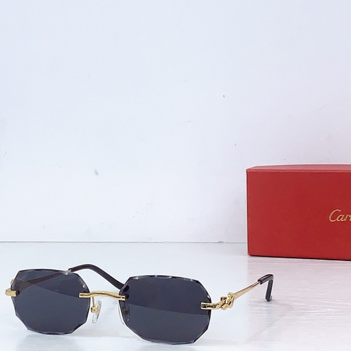 Ca*t1er Sunglasses