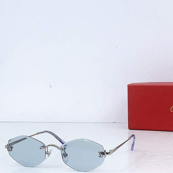 Ca*t1er Sunglasses