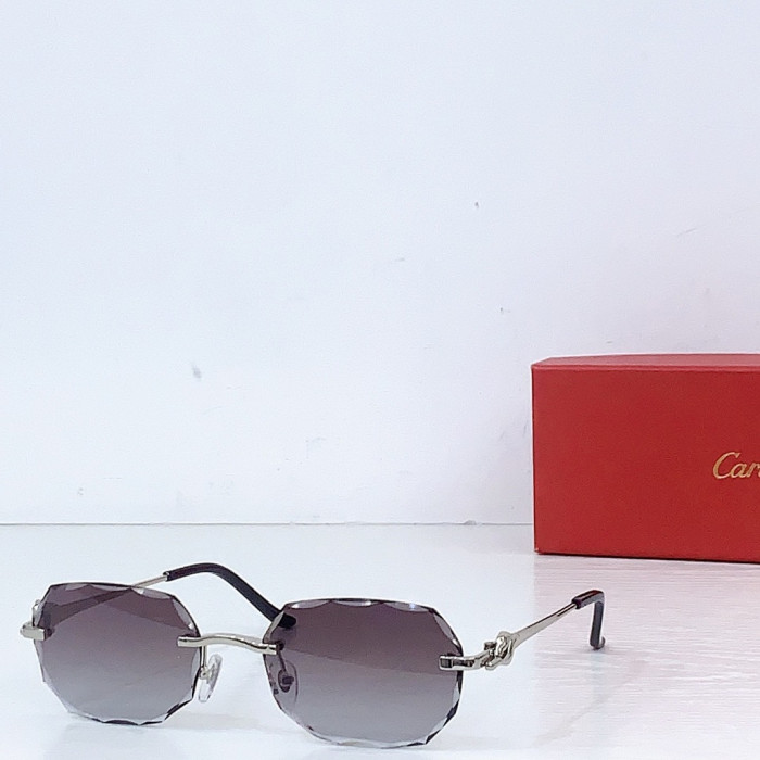 Ca*t1er Sunglasses