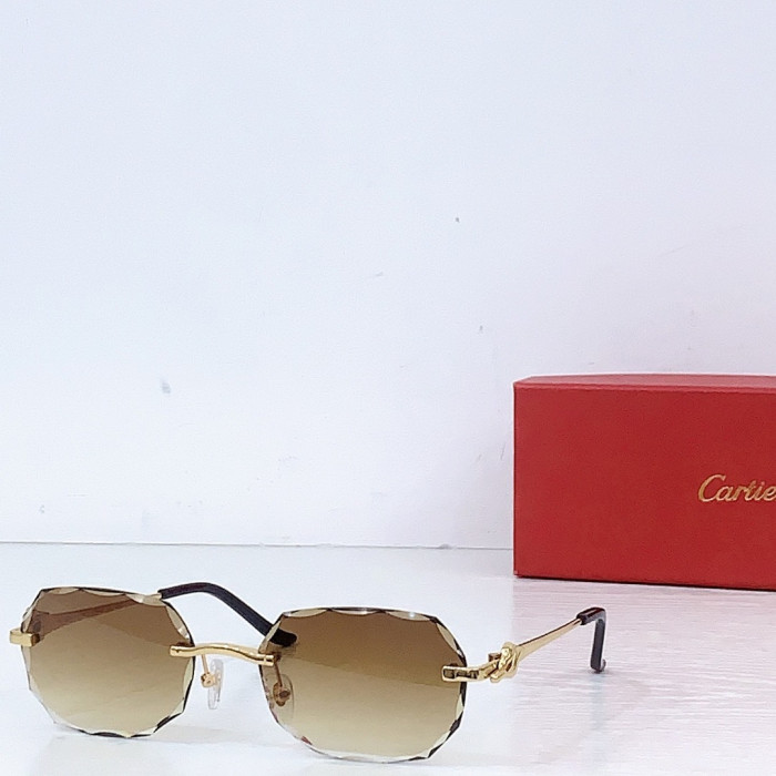 Ca*t1er Sunglasses