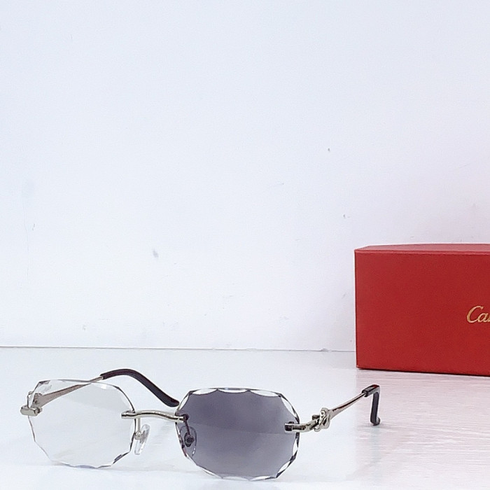 Ca*t1er Sunglasses