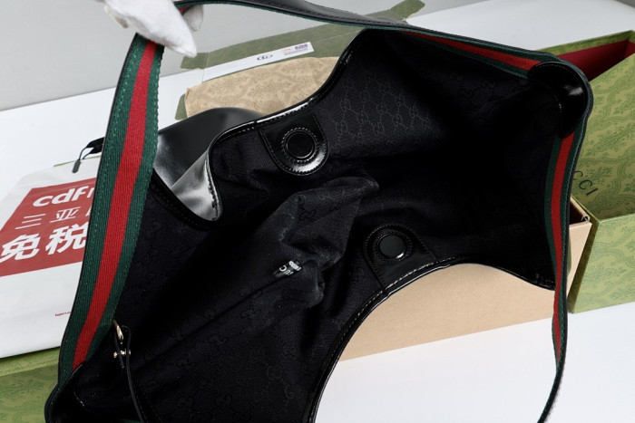 Gu66 BAG 60x47x16cm