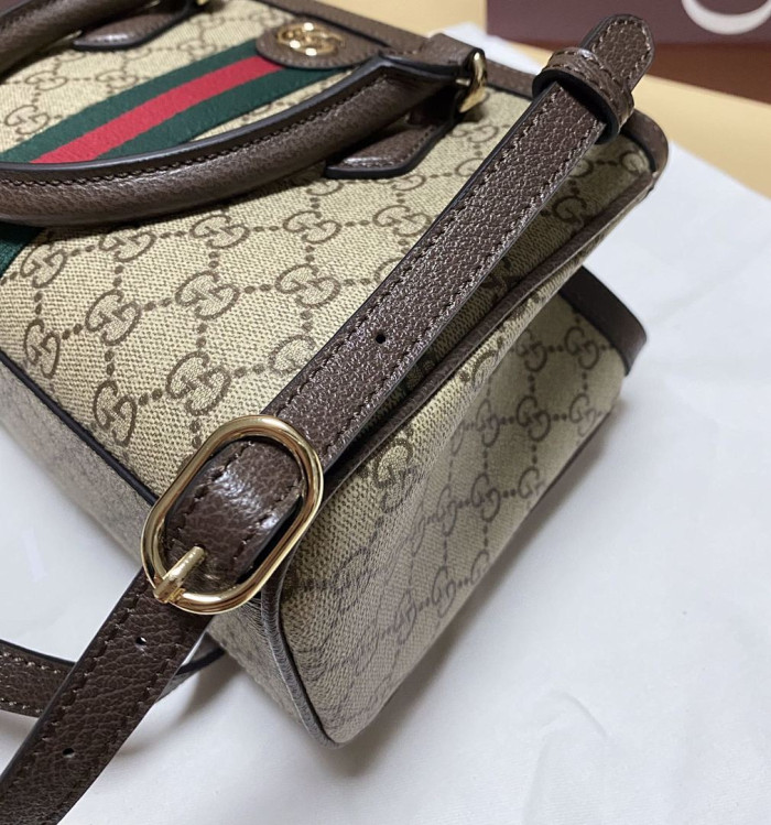 Gu66 BAG 25.5*18*0.5cm