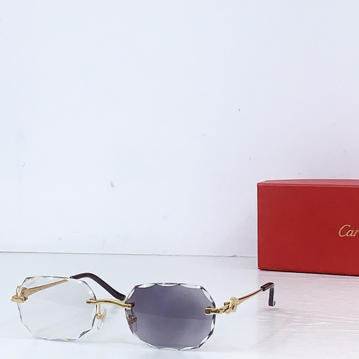 Ca*t1er Sunglasses
