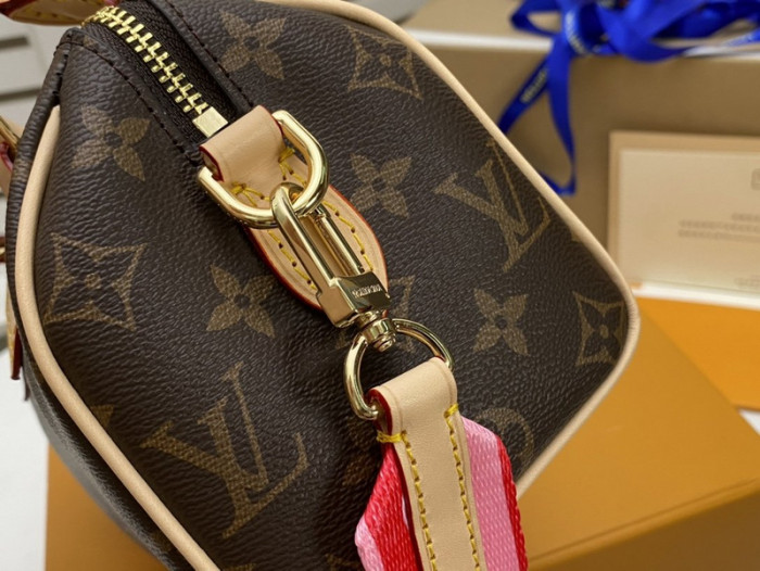 Lou1su1tt BAG