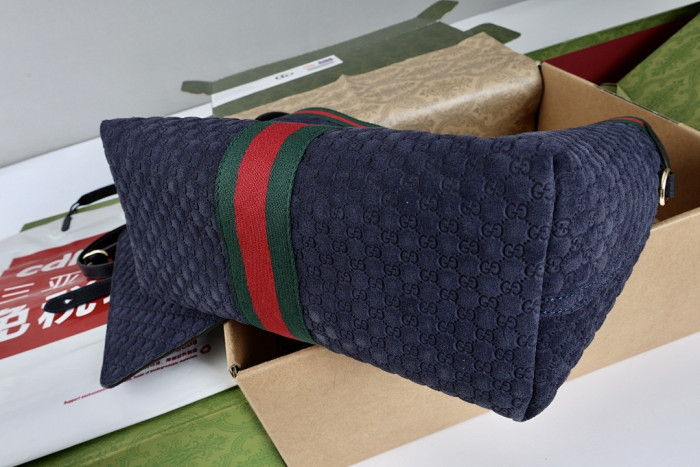 Gu66 BAG 33x28x13cm