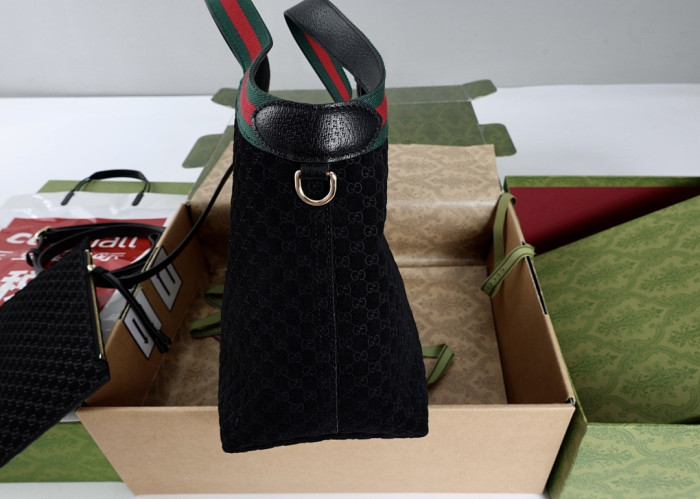 Gu66 BAG 33x28x13cm