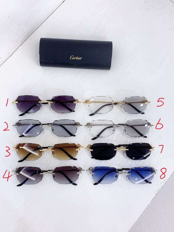 Ca*t1er Sunglasses