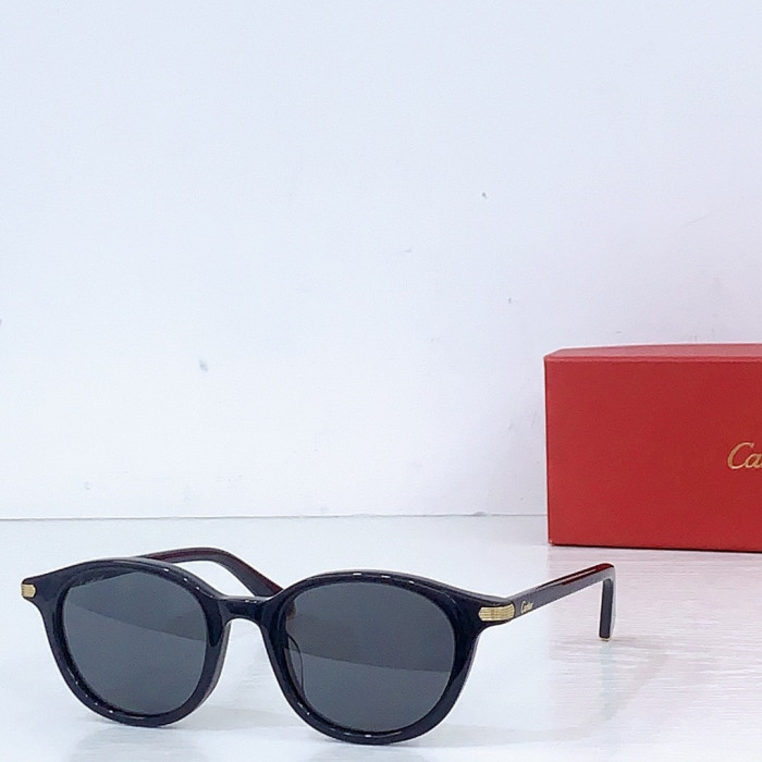 Ca*t1er Sunglasses