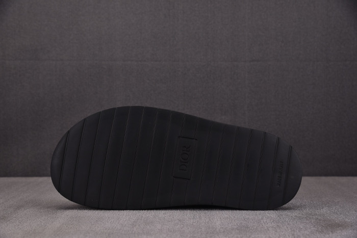 D10R slides