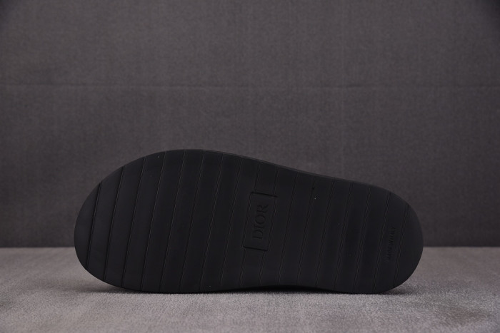 D10R slides