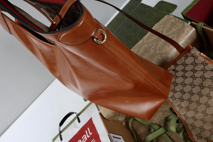 Gu66 BAG 60x47x16cm
