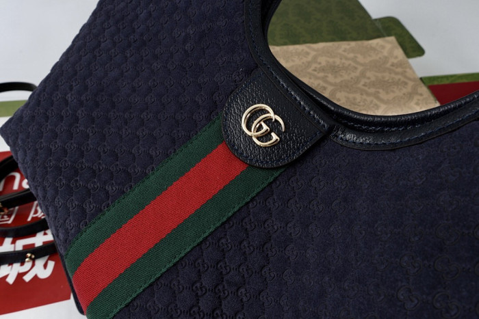 Gu66 BAG 33x28x13cm