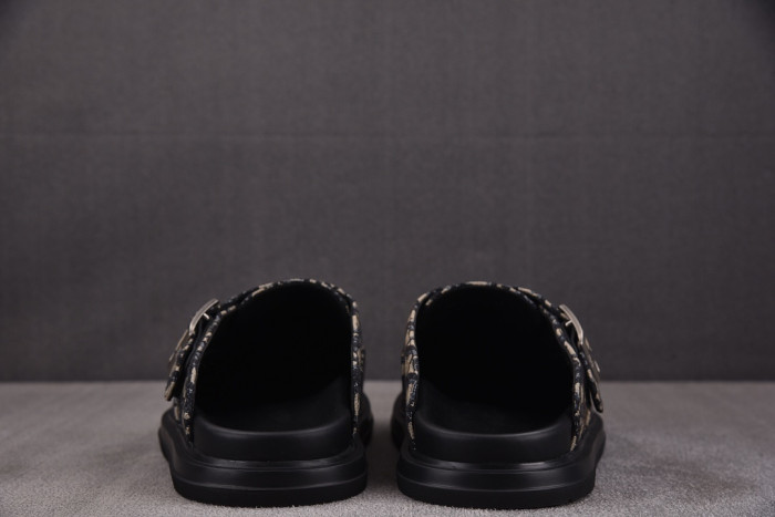 D10R slides