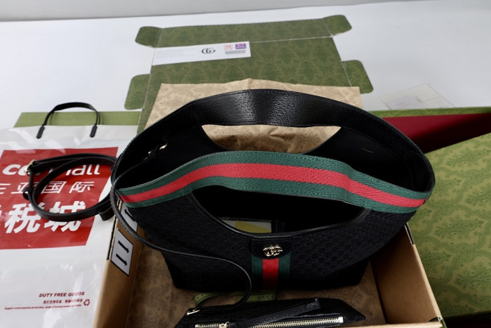 Gu66 BAG 33x28x13cm