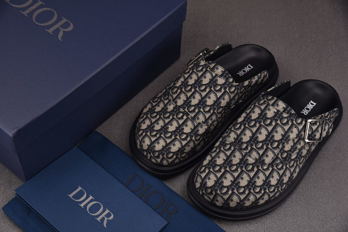 D10R slides