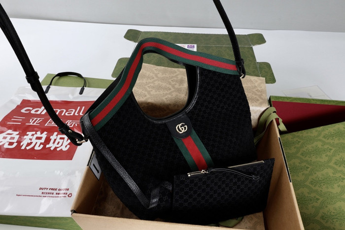 Gu66 BAG 33x28x13cm