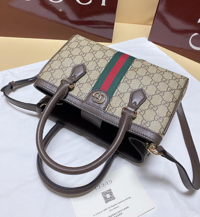 Gu66 BAG 25.5*18*0.5cm