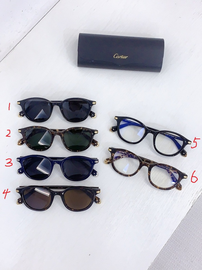 Ca*t1er Sunglasses