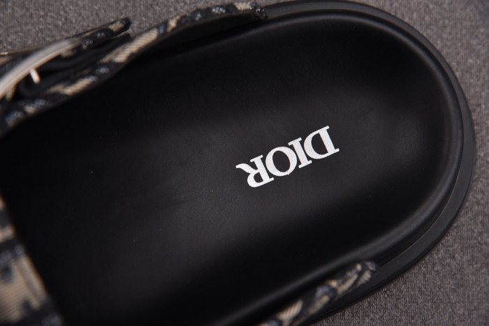 D10R slides
